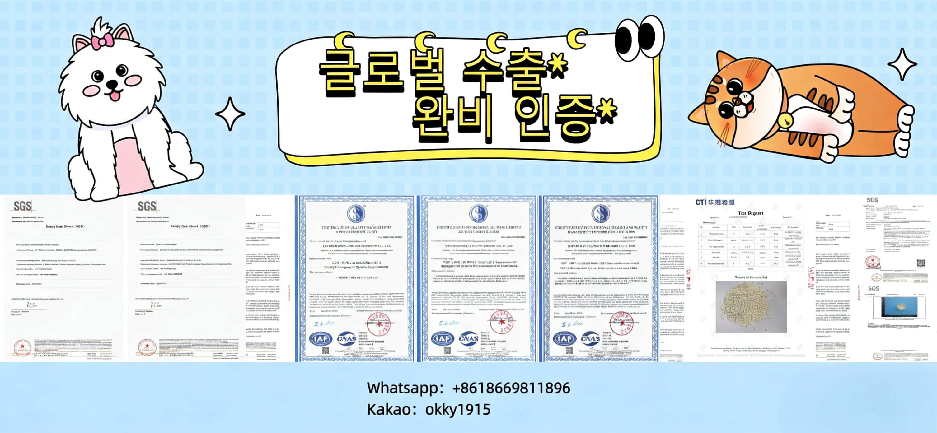 글로벌 고양이 모래 수출, 인증서로 믿음을 더하다