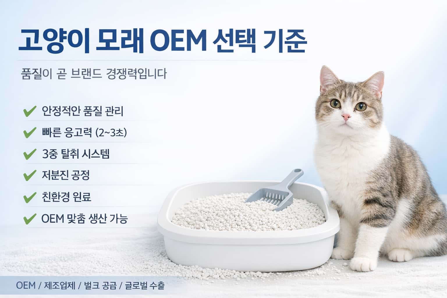 고품질 고양이 모래 OEM 제조업체 선택 가이드 – 한국 시장에서 성공하는 핵심 기준