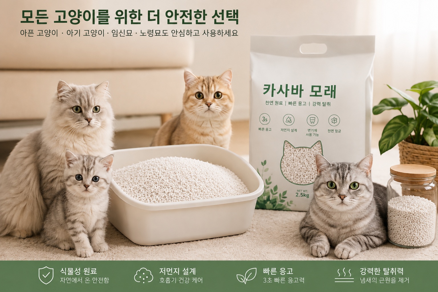 모든 고양이를 위한 더 안전한 선택