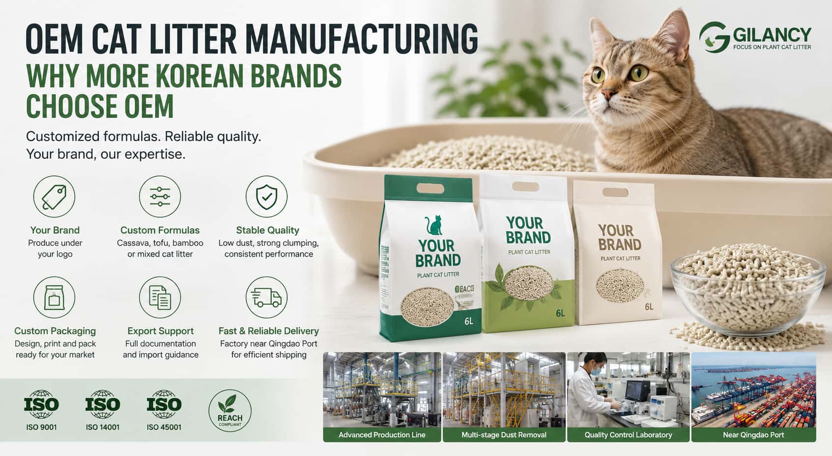 OEM 고양이 모래 생산, 왜 많은 한국 브랜드들이 선택할까?